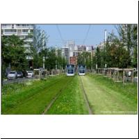 2021-07-19 °T9 Watteneau-Rondenay 02.jpg